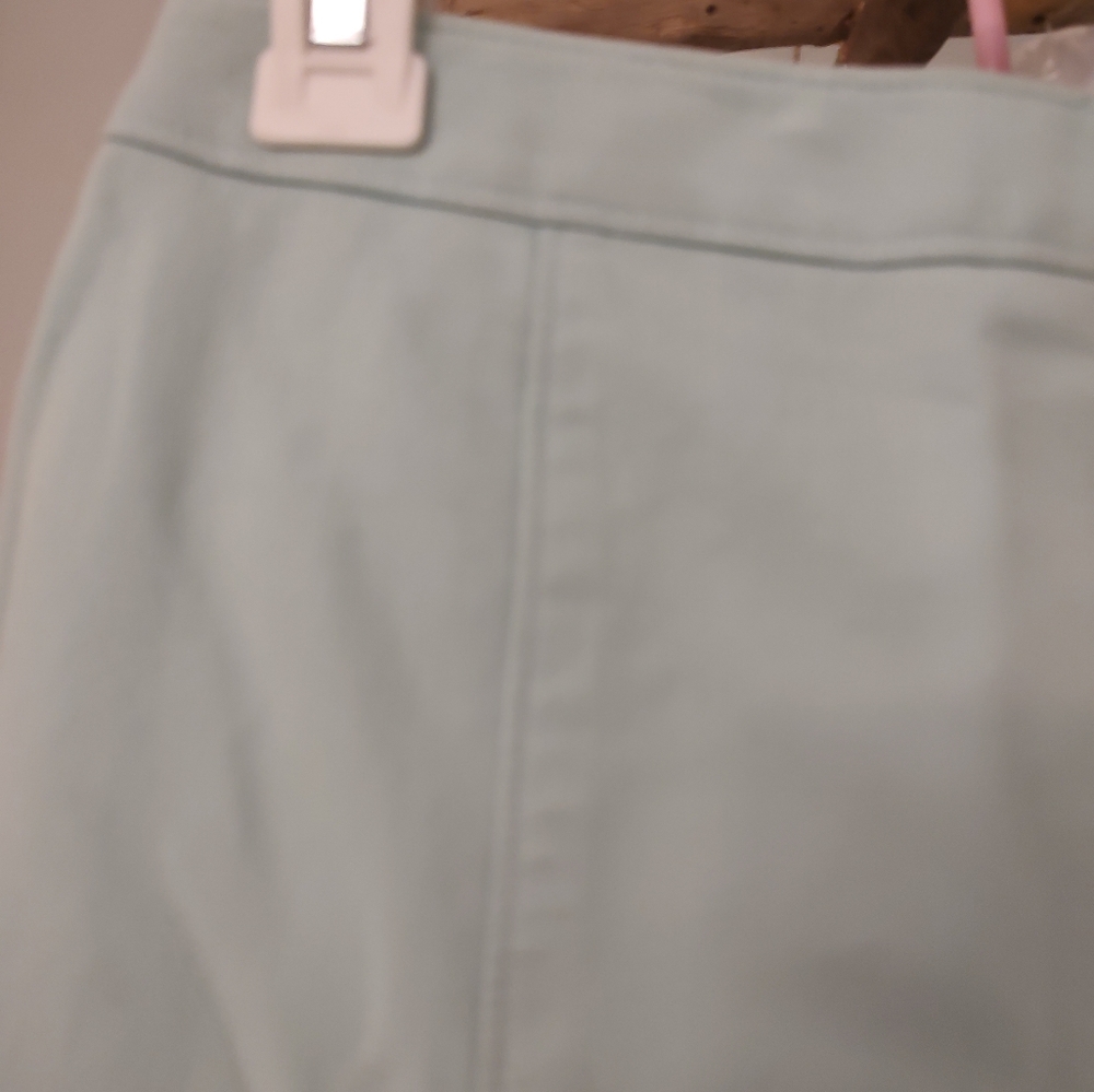 ANN TAYLOR Knee Length A-line Skirt Regular Fit Flared Hem Lined Aqua Size  4P